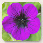 Paarse Cranesbill Geranium Floral Bier Onderzetter (Voorkant)