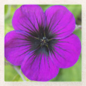 Paarse Cranesbill Geranium Floral Glazen Onderzetter (Voorkant)