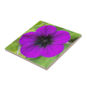 Paarse Cranesbill Geranium Floral Tegeltje (Zijkant)