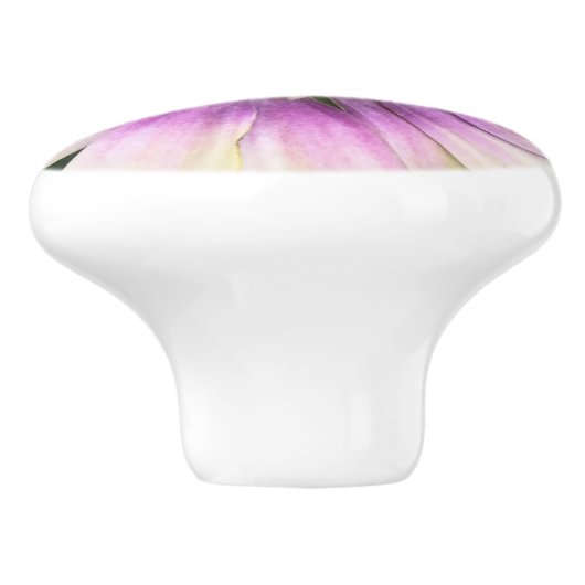 Paarse crèmefluitknop keramische knop (Zijkant)