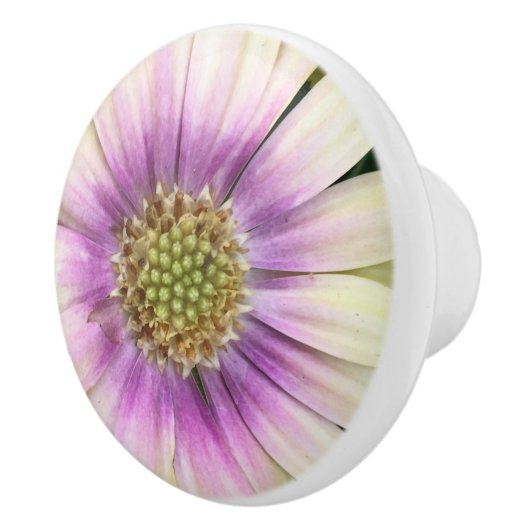 Paarse crèmefluitknop keramische knop (Rechts)