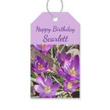 Paarse Crocus Birthday