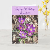 Paarse Crocus Birthday-kaart Kaart (Gele Bloem)