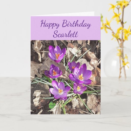 Paarse Crocus Birthday-kaart Kaart (Gele Bloem)