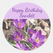 Paarse Crocus Birthday Ronde Sticker (Voorkant)