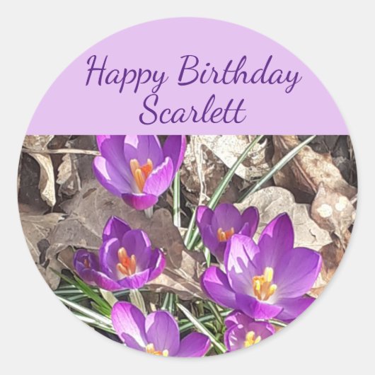 Paarse Crocus Birthday Ronde Sticker (Voorkant)