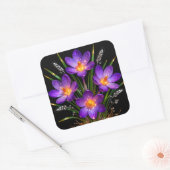 Paarse Crocus Bloemsticker Vierkante Sticker (Envelop)