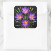 Paarse Crocus Bloemsticker Vierkante Sticker (Tas)