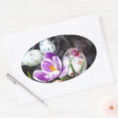 Paarse crocus en haaspaaseieren ovale sticker (Envelop)