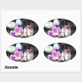 Paarse crocus en haaspaaseieren ovale sticker (Vel)