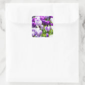 Paarse Crocus Envelopezegels en Stickers  (Tas)