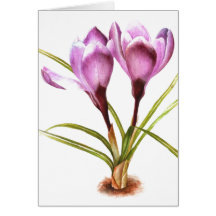 "Paarse Crocus" fine art alledaagse blanco kaart