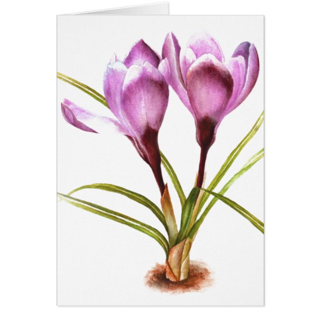"Paarse Crocus" fine art alledaagse blanco kaart (Voorkant)