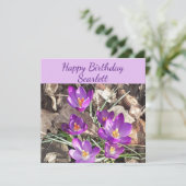 Paarse Crocus Flat Birthday Card Kaart (Staand voorkant)