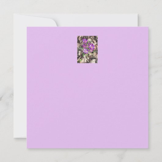 Paarse Crocus Flat Birthday Card Kaart (Achterkant)