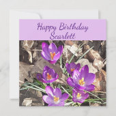 Paarse Crocus Flat Birthday Card Kaart (Voorkant)