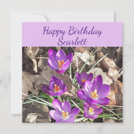 Paarse Crocus Flat Birthday Card Kaart