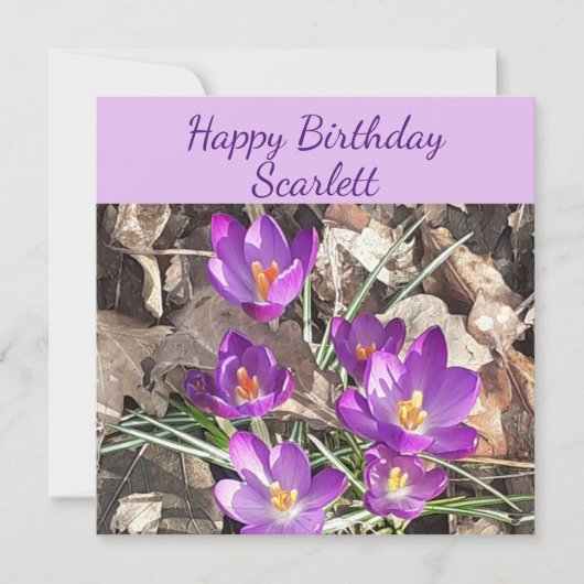 Paarse Crocus Flat Birthday Card Kaart (Voorkant)