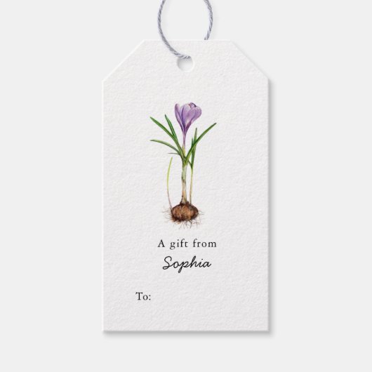 Paarse Crocus Flower Gift labels Cadeaulabel (Voorkant)