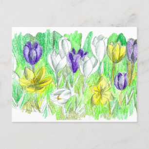 Paarse Crocus Flowers Forest Floor Spring Art Briefkaart