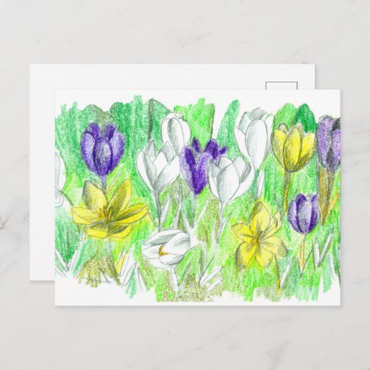 Paarse Crocus Flowers Forest Floor Spring Art Briefkaart (Voorkant / Achterkant)