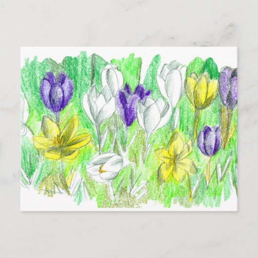Paarse Crocus Flowers Forest Floor Spring Art Briefkaart (Voorkant)