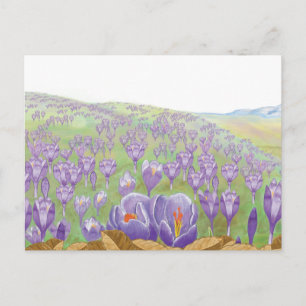 Paarse Crocus Flowers op Spring Hill Illustratie Briefkaart
