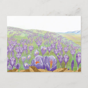 Paarse Crocus Flowers op Spring Hill Illustratie Feestdagenkaart
