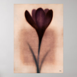 Paarse Crocus Japanse Bloemige Abstractie Poster