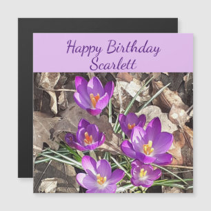 Paarse Crocus Magnetic Birthday Card