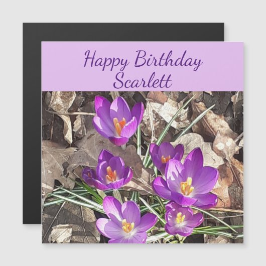Paarse Crocus Magnetic Birthday Card (Voorkant / Achterkant)