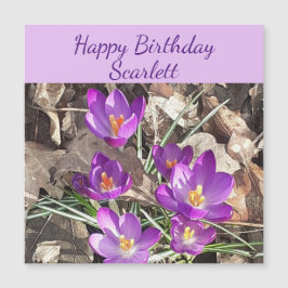 Paarse Crocus Magnetic Birthday Card