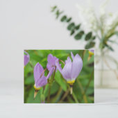 Paarse Crocus Nudiflorus Bloemen Briefkaart (Staand voorkant)