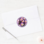 Paarse Crocus Stickers (Envelop)