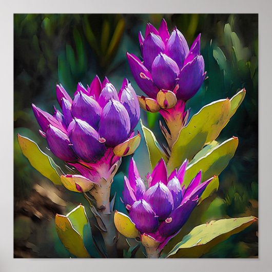 Paarse Curcuma Bloem Kunstprint Poster (Voorkant)