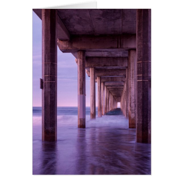 Paarse dageraad bij Scripps Pier (Voorkant)