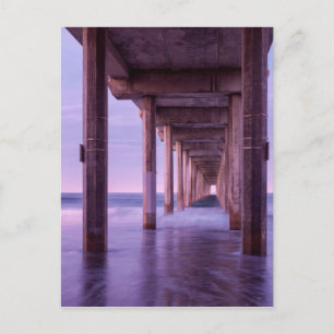 Paarse dageraad bij Scripps Pier Briefkaart