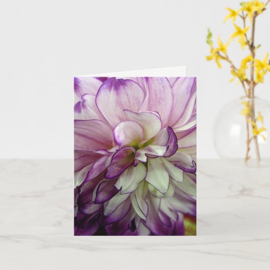 Paarse Dahlia Blank Kaart (Gele Bloem)