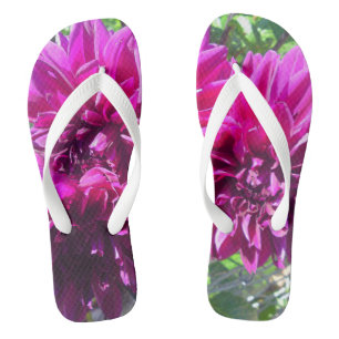 Paarse Dahlia BloedTeenslippers Teenslippers
