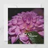 Paarse dahlia-bloem kaart (Achterkant)