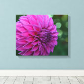 Paarse dahlia canvas afdruk (Insitu (Houten vloer))