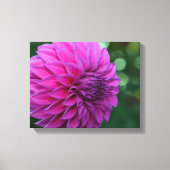 Paarse dahlia canvas afdruk (Voorkant)