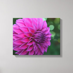 Paarse dahlia canvas afdruk