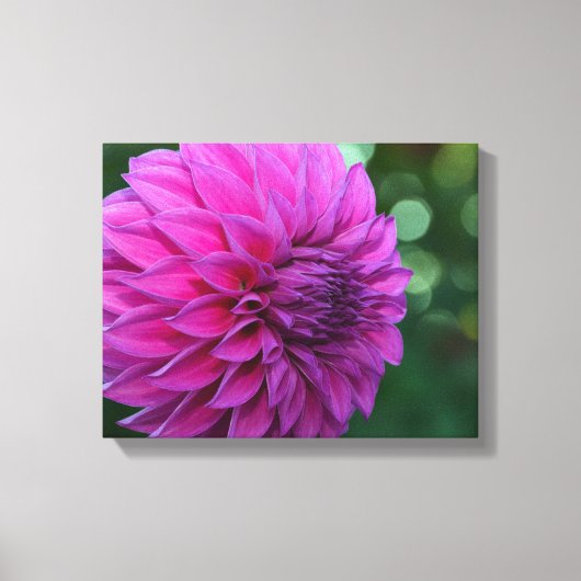 Paarse dahlia canvas afdruk (Voorkant)