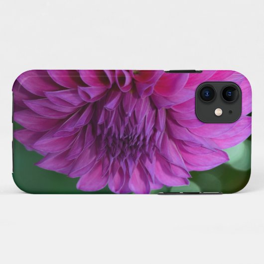 Paarse dahlia Case-Mate iPhone case (Achterkant (horizontaal))