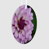 Paarse dahlia flower bloesems kerstfeest ornament (voorkant)