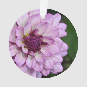 Paarse dahlia flower bloesems kerstfeest ornament