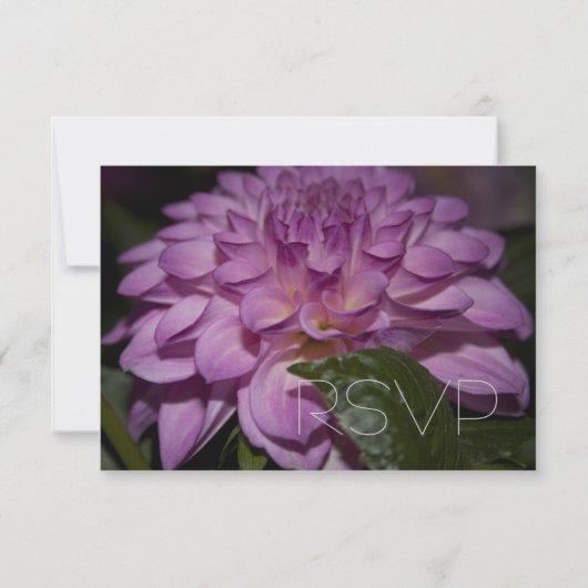 paarse dahlia flower RSVP trouwuitnodiging (Achterkant)