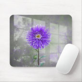 Paarse Dahlia in Window Shadow Muismat (Met muis)