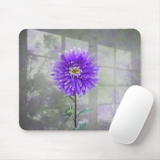 Paarse Dahlia in Window Shadow Muismat (Met muis)
